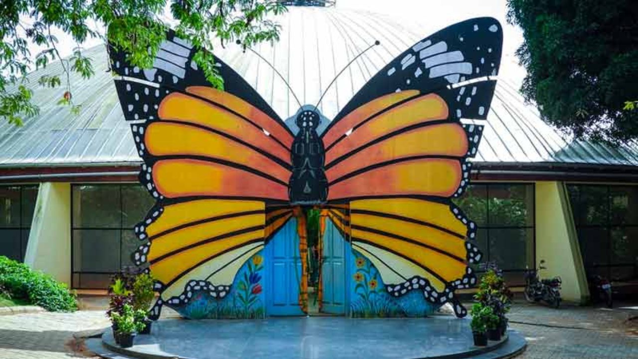 Butterfly Park
